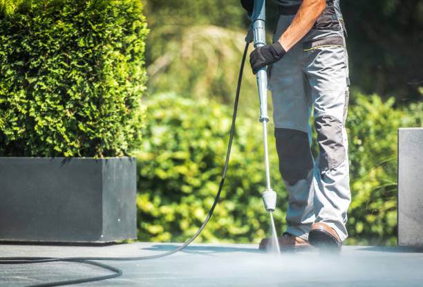 Best Solar Panel Cleaning  in Somerville, MA