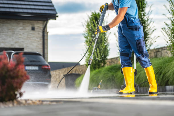 Best Dumpster Area Cleaning  in Somerville, MA